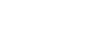 logo davinci gourmet