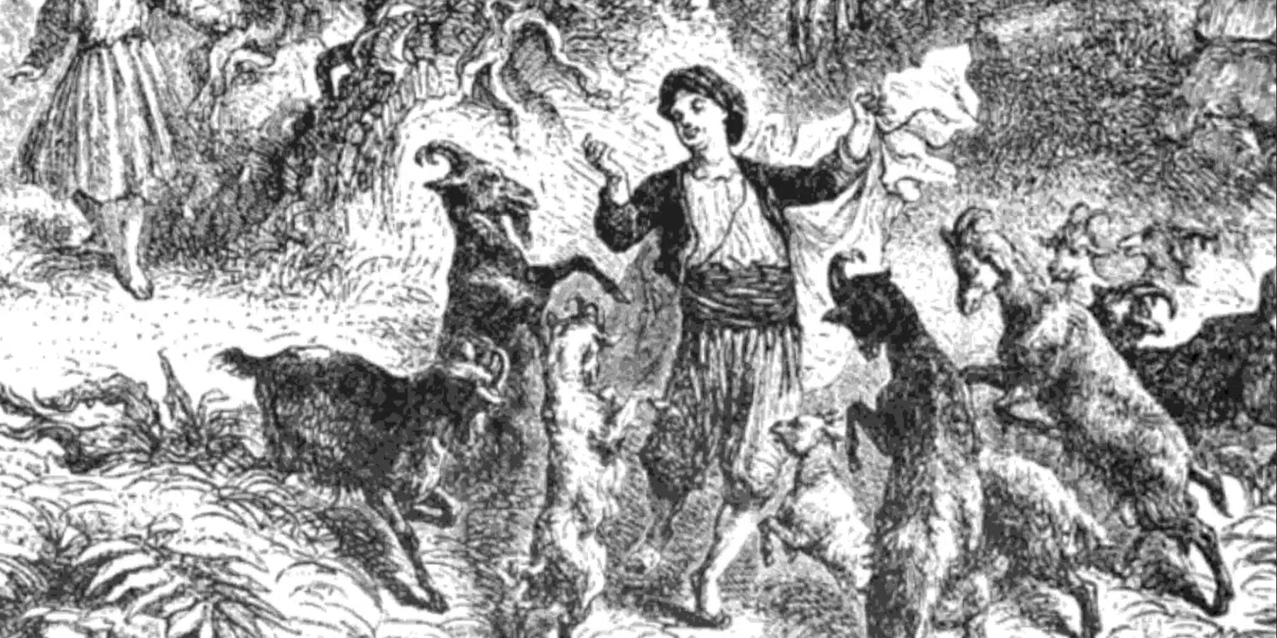 su phat trien cua hat ca phe